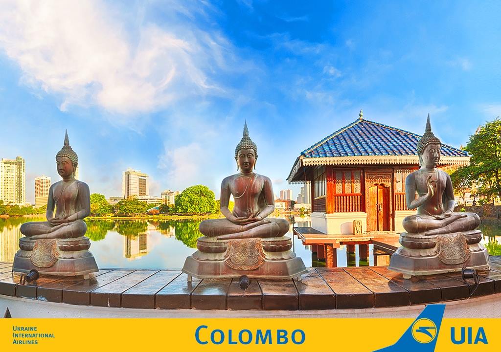 12973291_1271456016203295_3994119662063974512_o